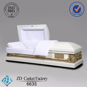 20 gabarīts tērauda zārkā metāla zārks 6635